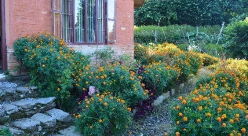 Mystique Highland Resort