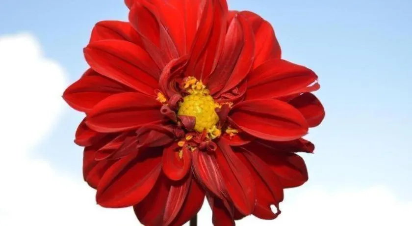 Mystique Highland Resort