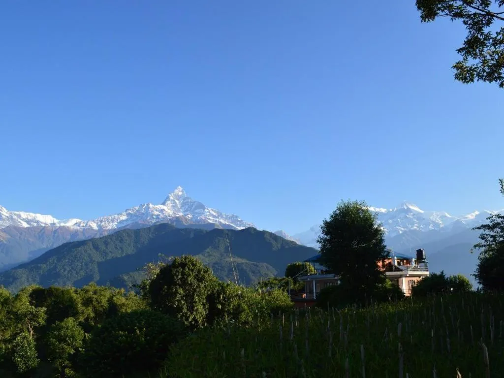 Mystique Highland Resort