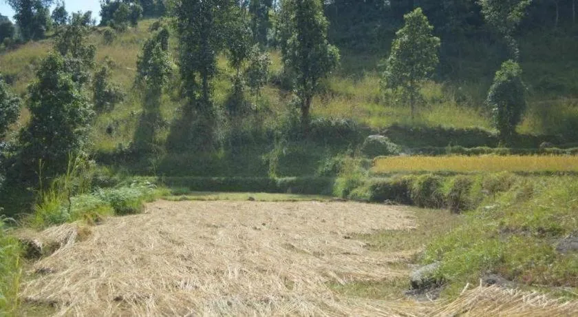 Mystique Highland Resort