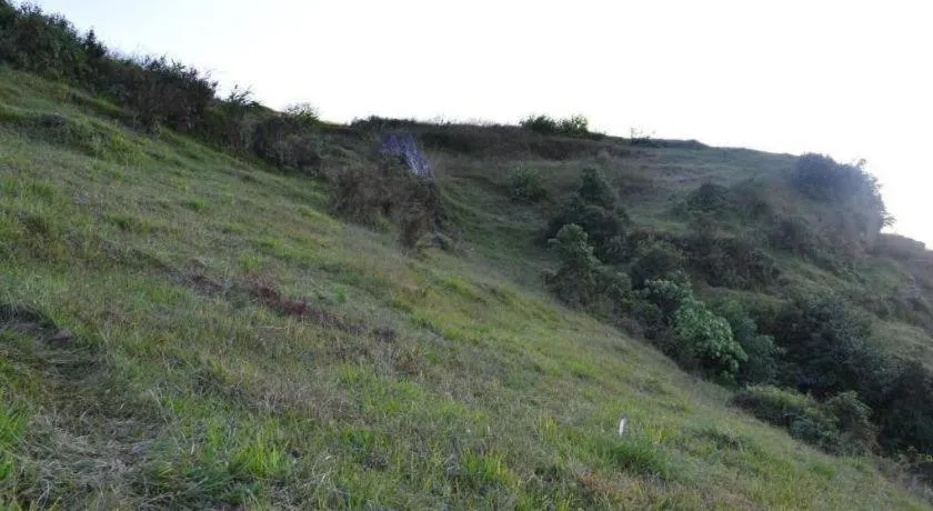 Mystique Highland Resort