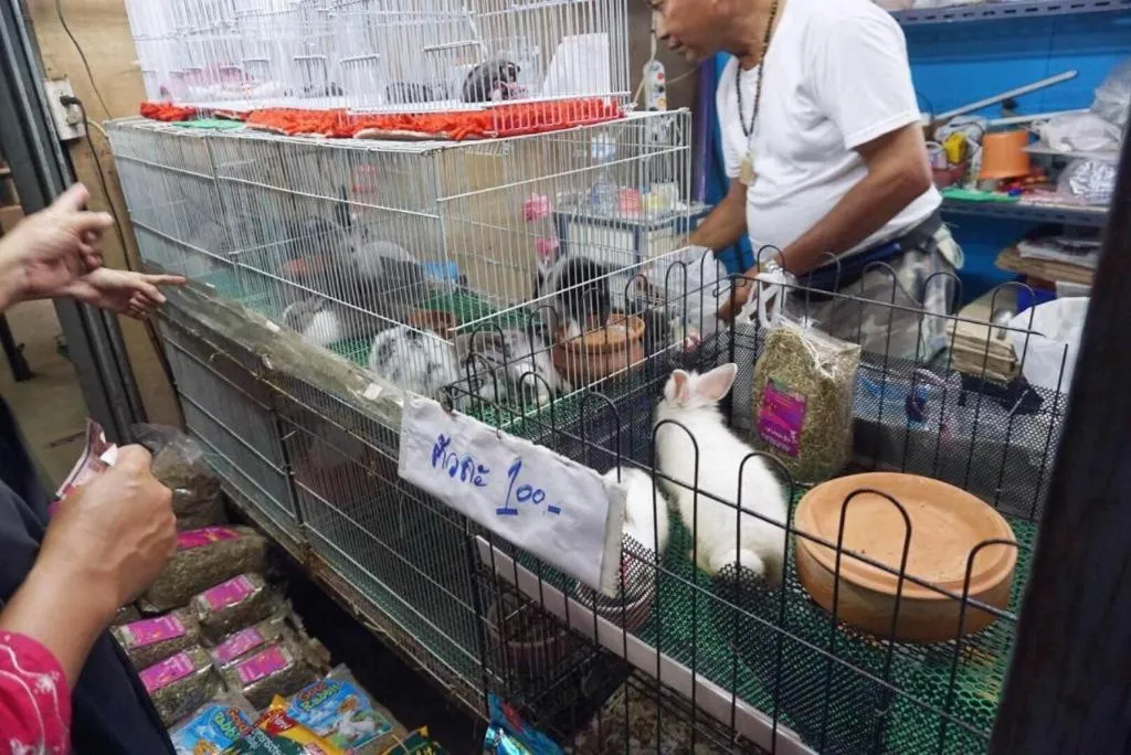 THE ALL 24 Luxury Residence