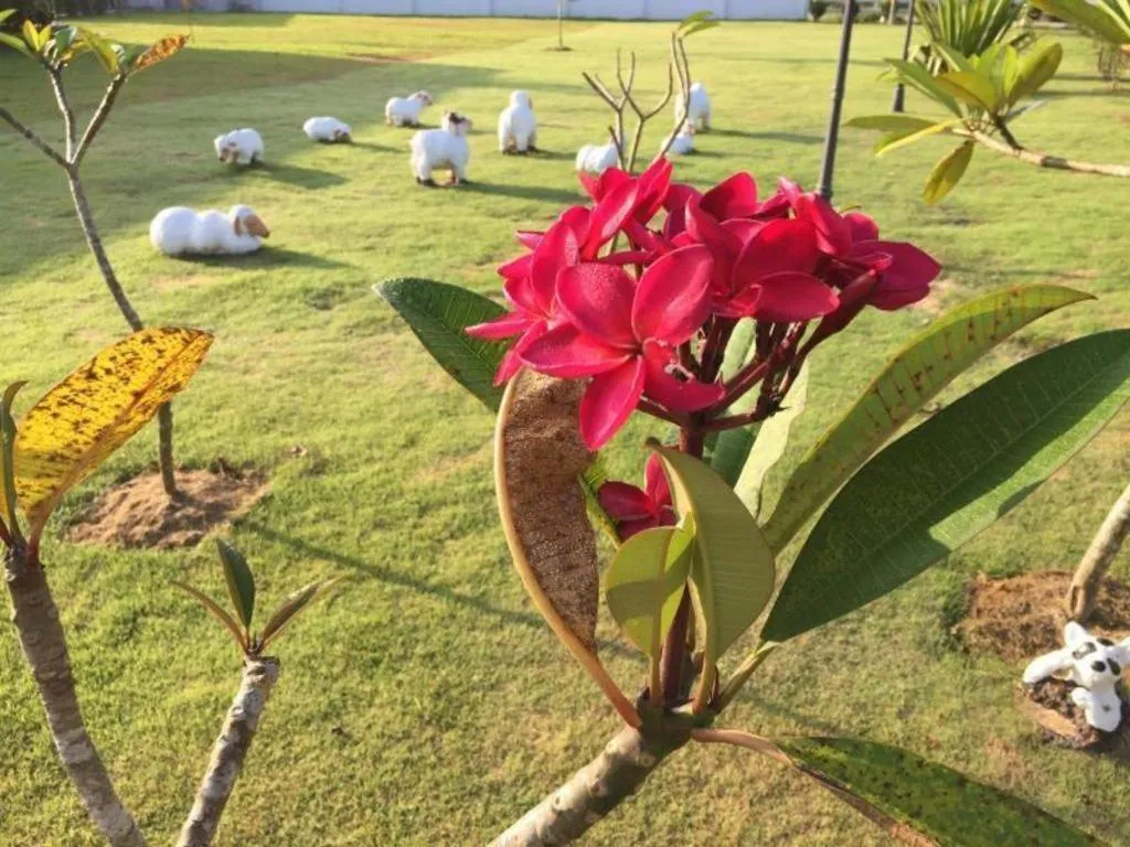 The Lofts Eco Resort