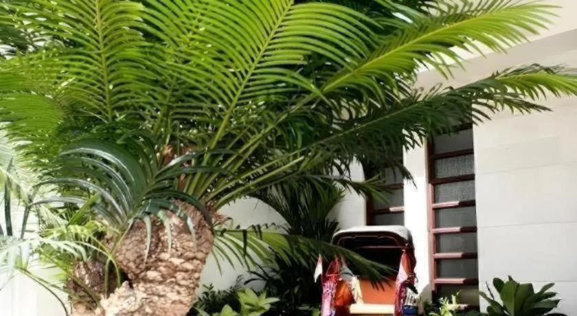 Colonial Hotel Makassar