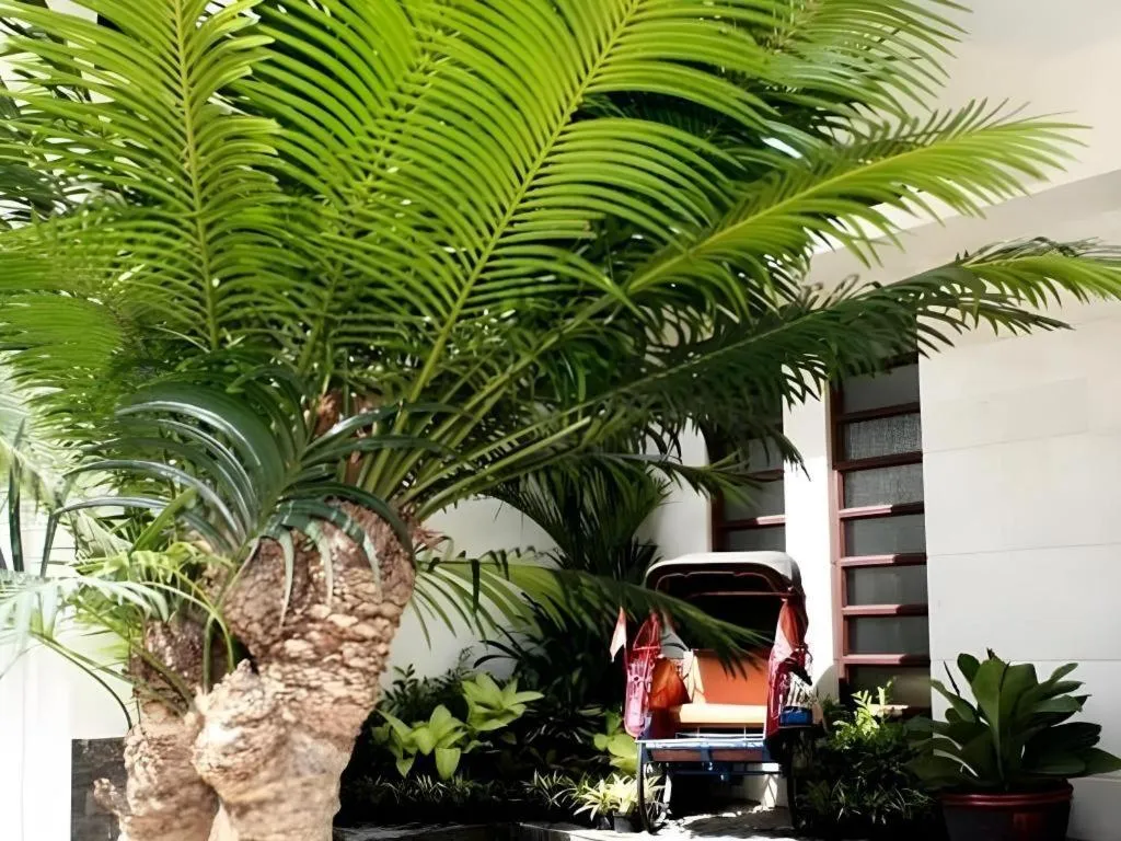 Colonial Hotel Makassar