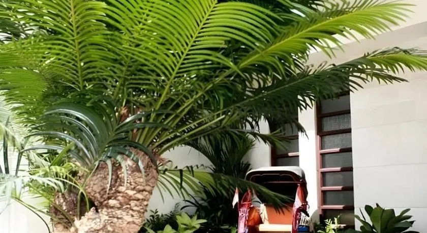 Colonial Hotel Makassar