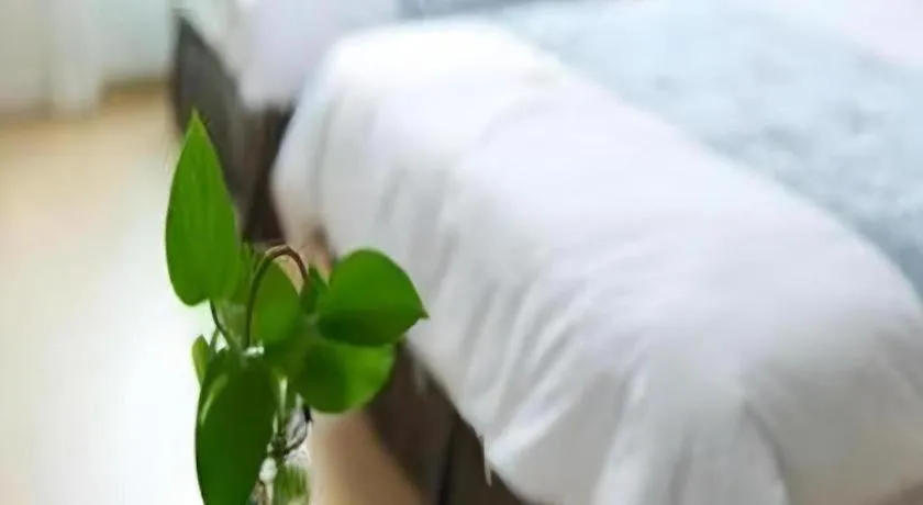 Bed in Swansea Resort