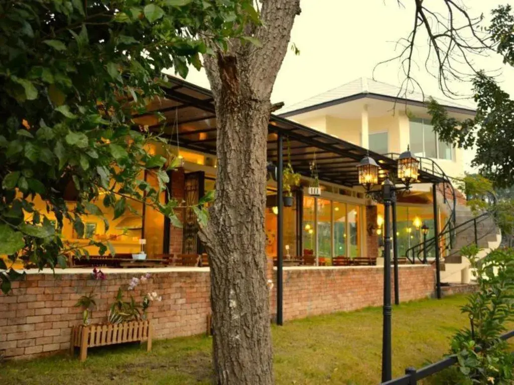 Dandelion Resort Dandelion Resort