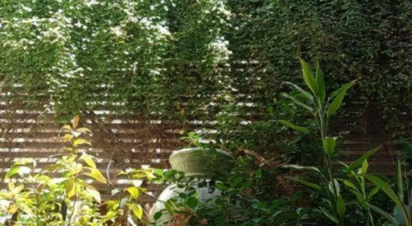 Rich Manor Pension House