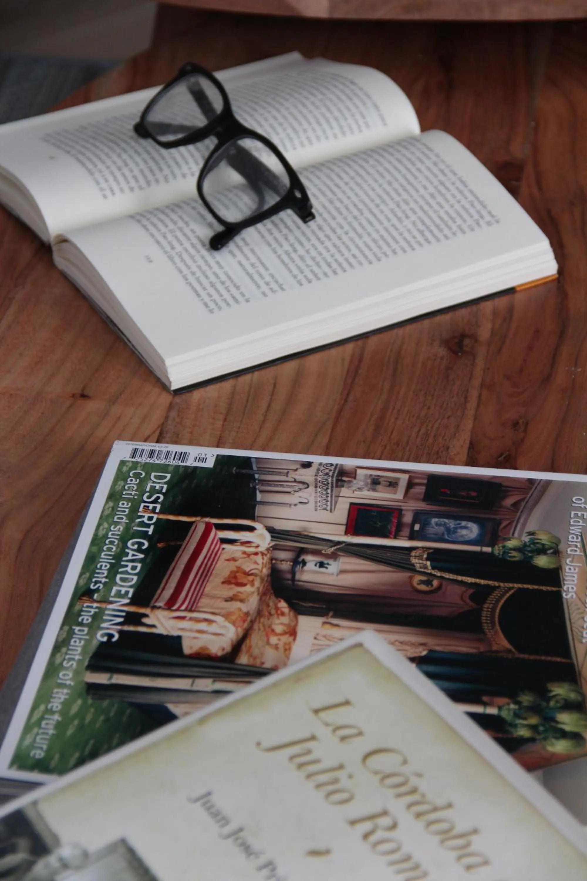 Library in Puerta de la Ribera Suites
