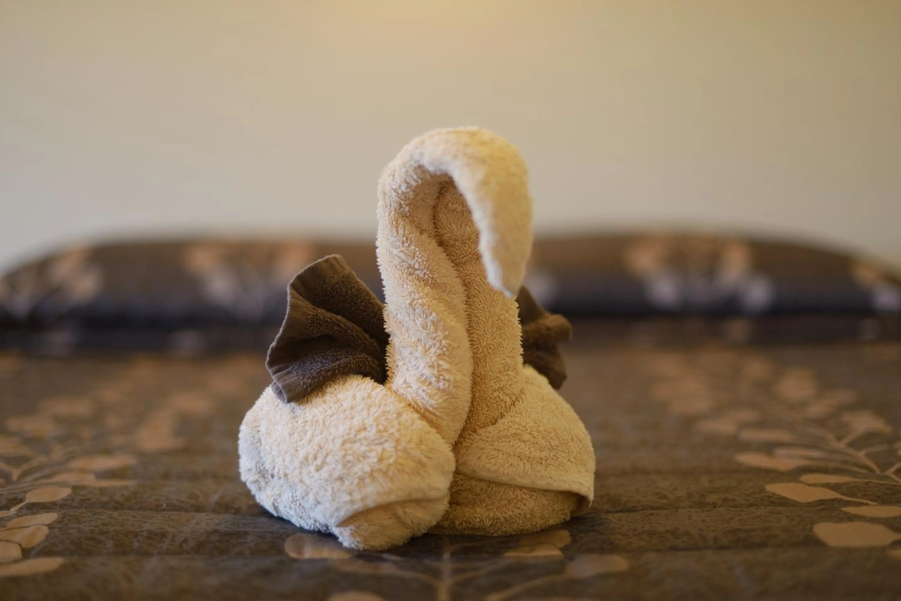 Mosgiel Regency Motel