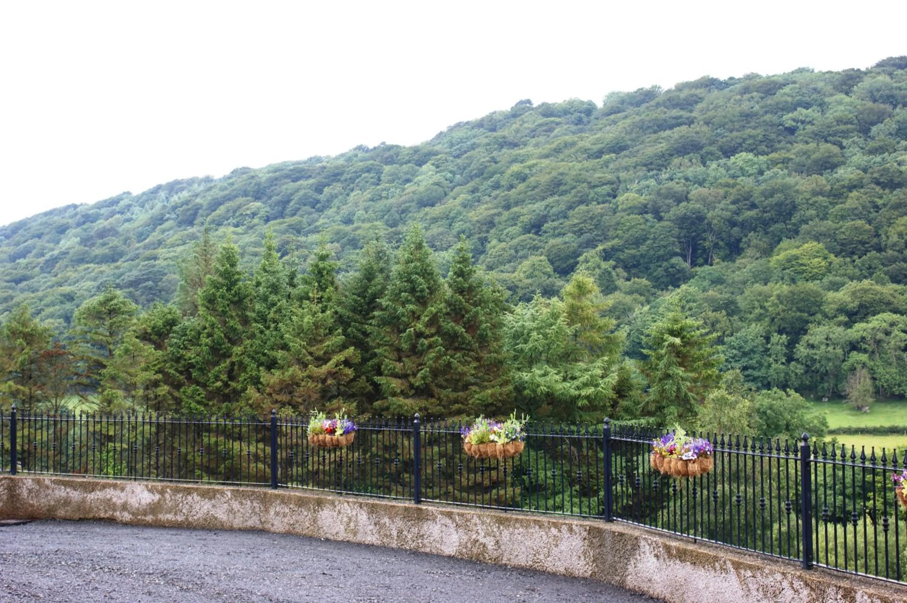 View (from property/room) in Glenn Eireann House