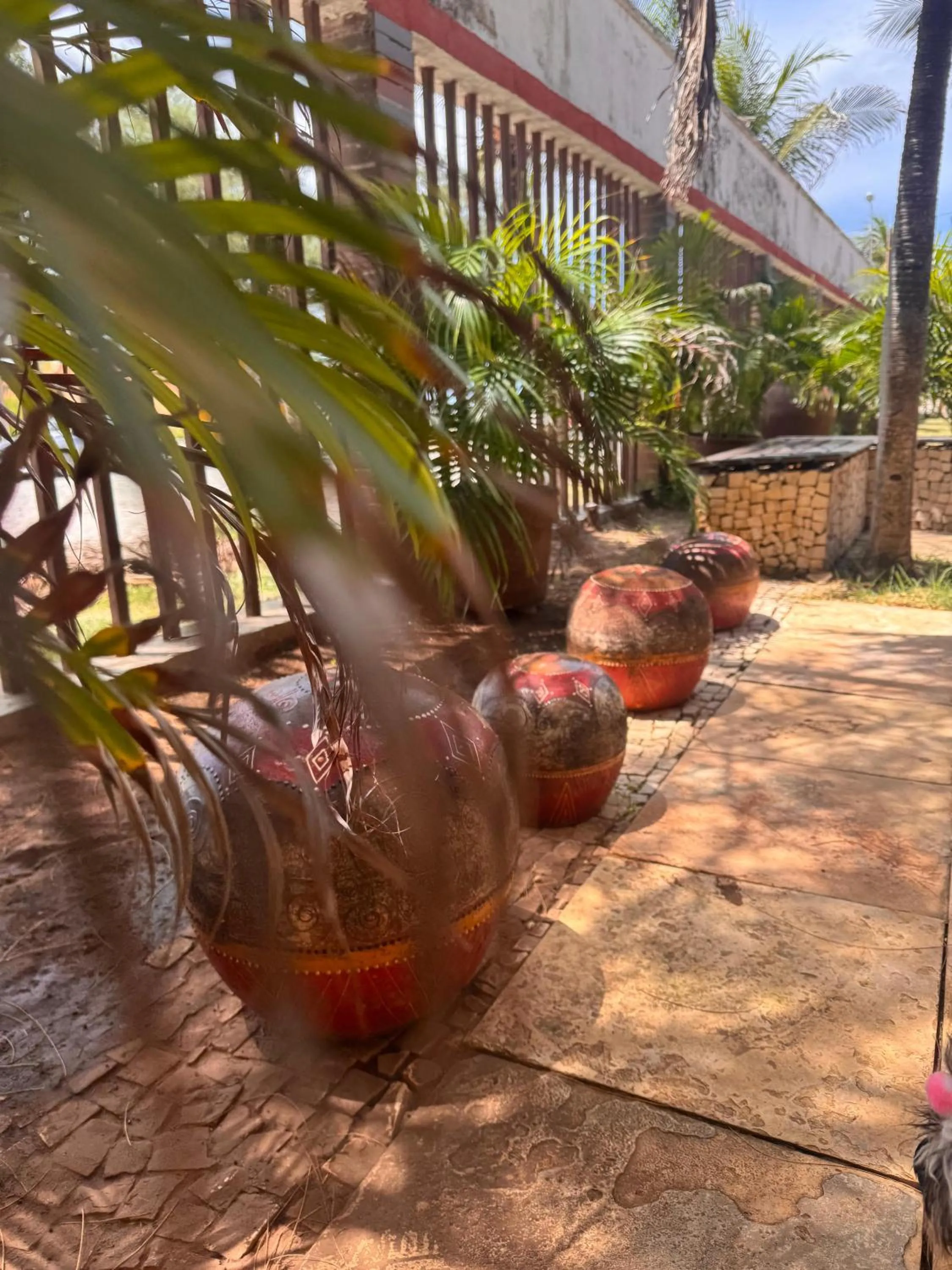 Garden view in Porto Futuro Hotel