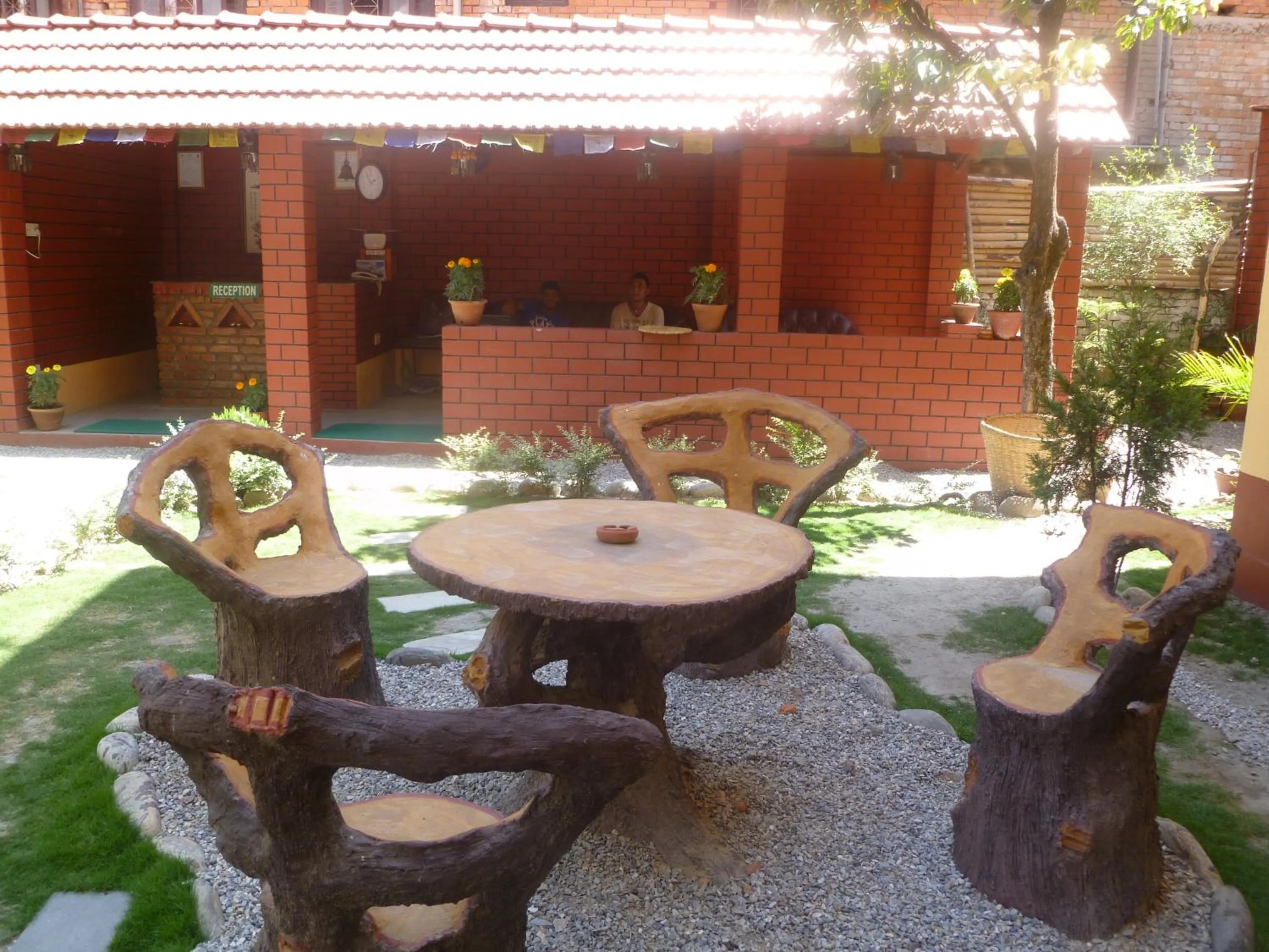 Garden view in Andes House