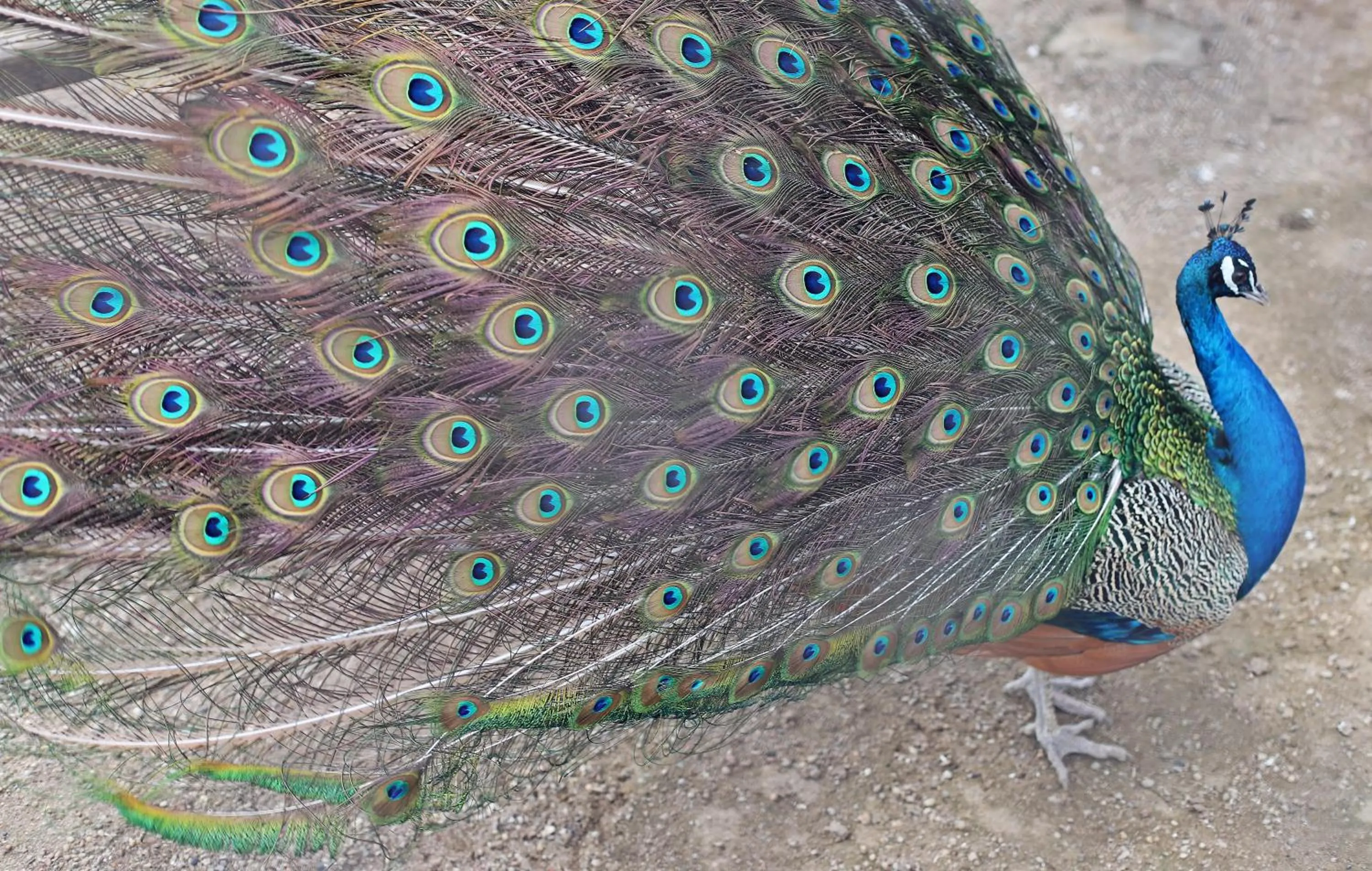 Natural landscape in Hotel Toscania