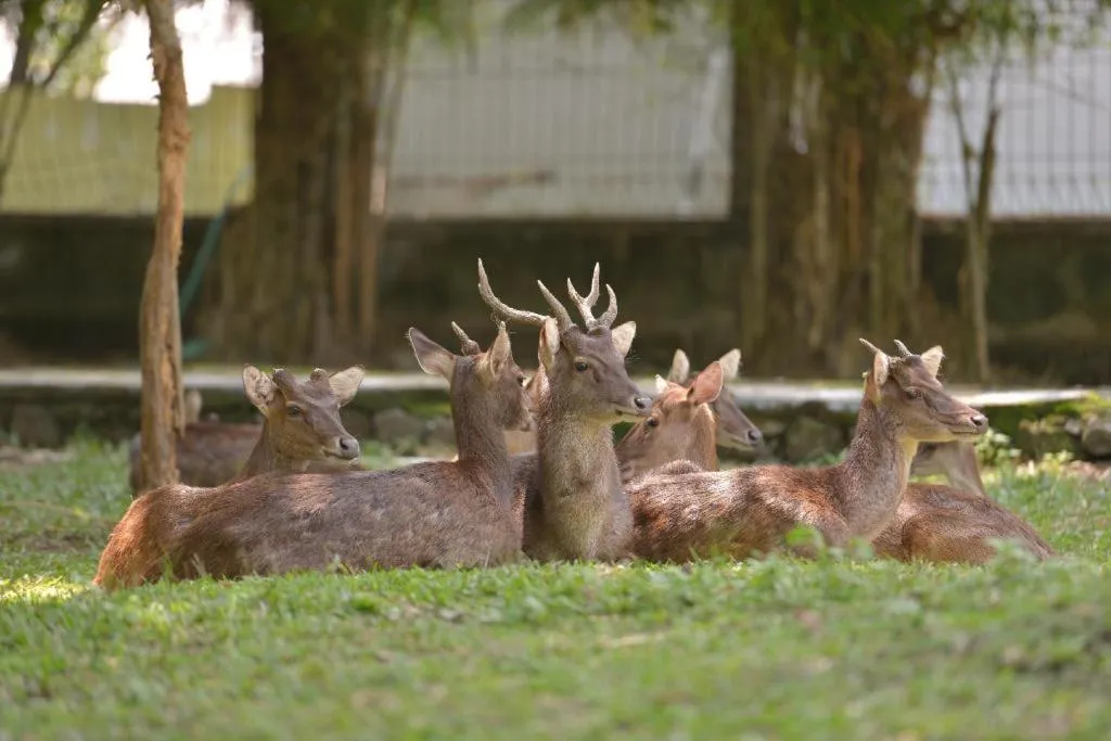 Larisae Setia Kawan Hotel