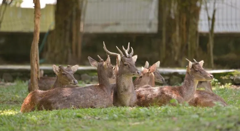 Larisae Setia Kawan Hotel