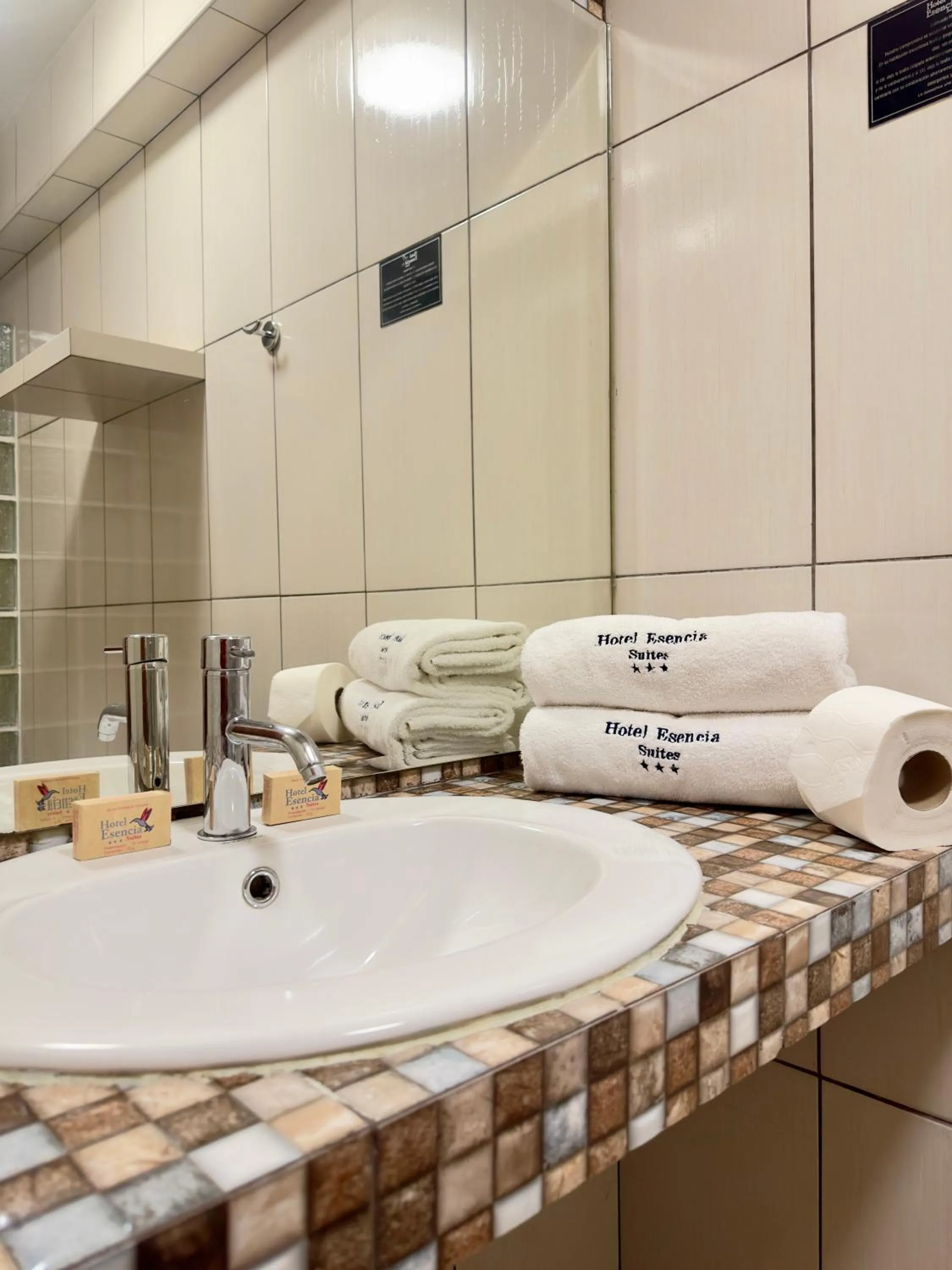 Bathroom in Hotel Esencia Suites