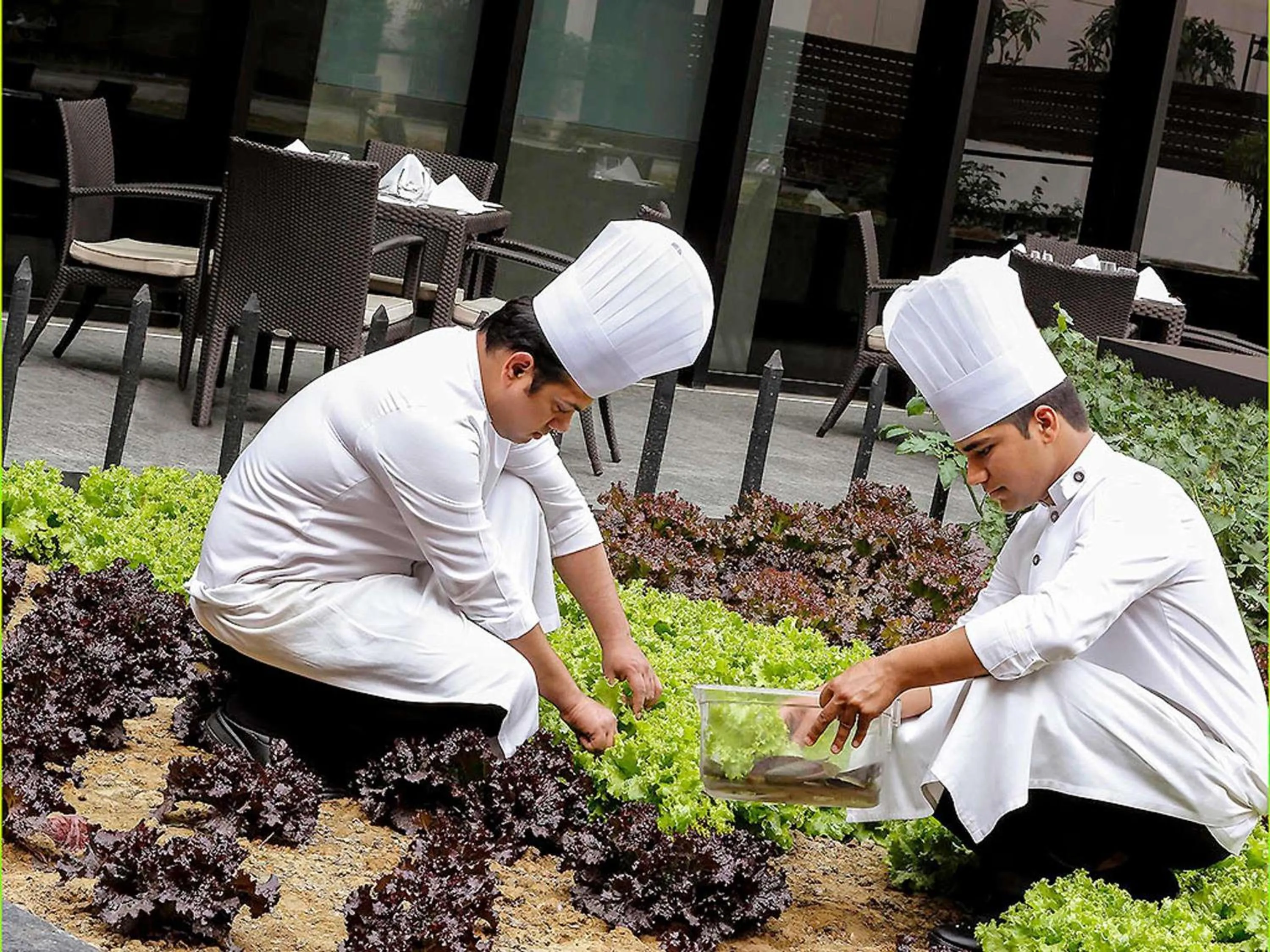 Restaurant/places to eat in Pullman New Delhi Aerocity