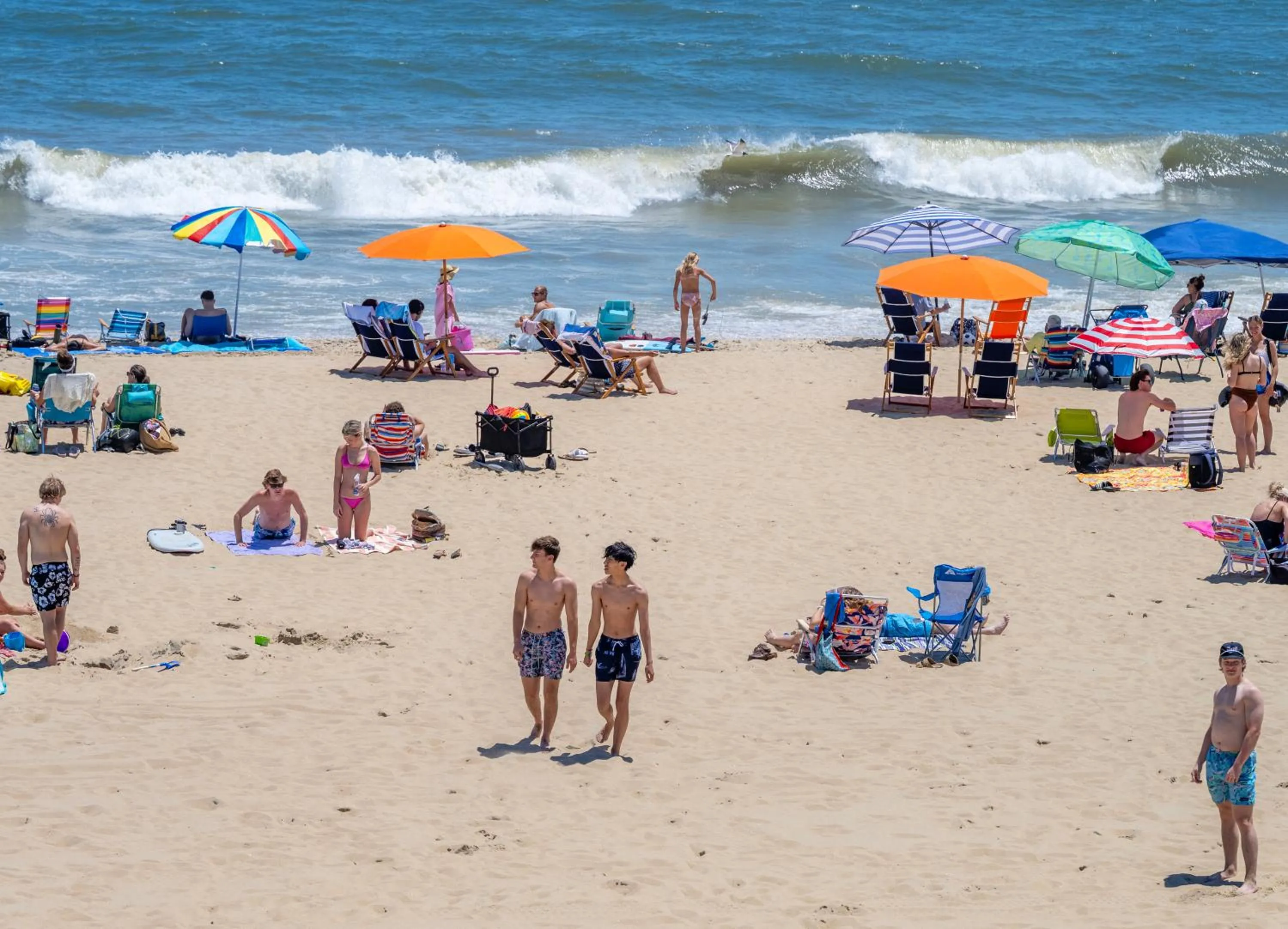 Beach in Commander Hotel & Suites