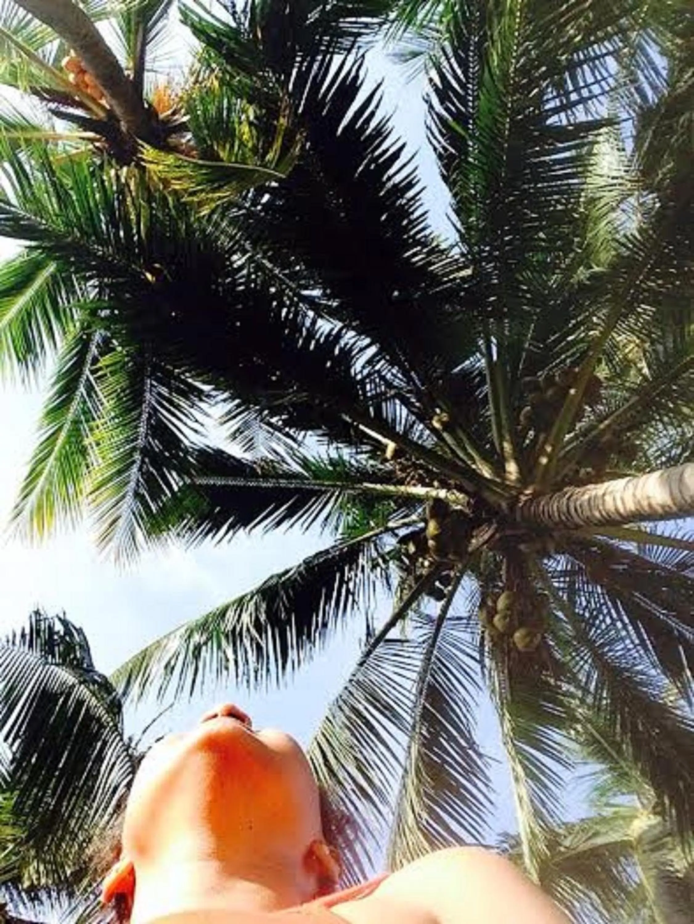 View (from property/room) in Janishi Residencies