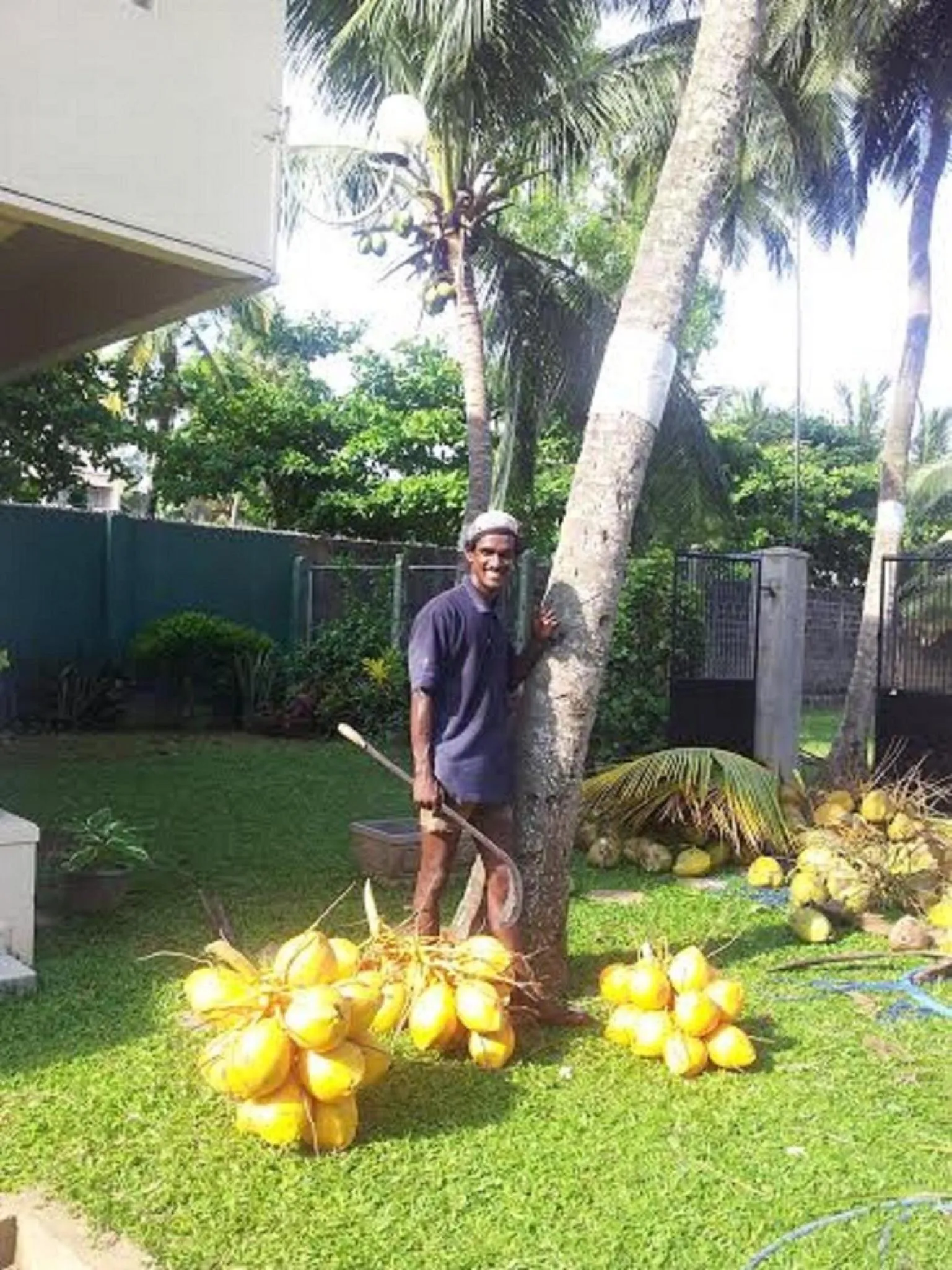 Garden in Janishi Residencies