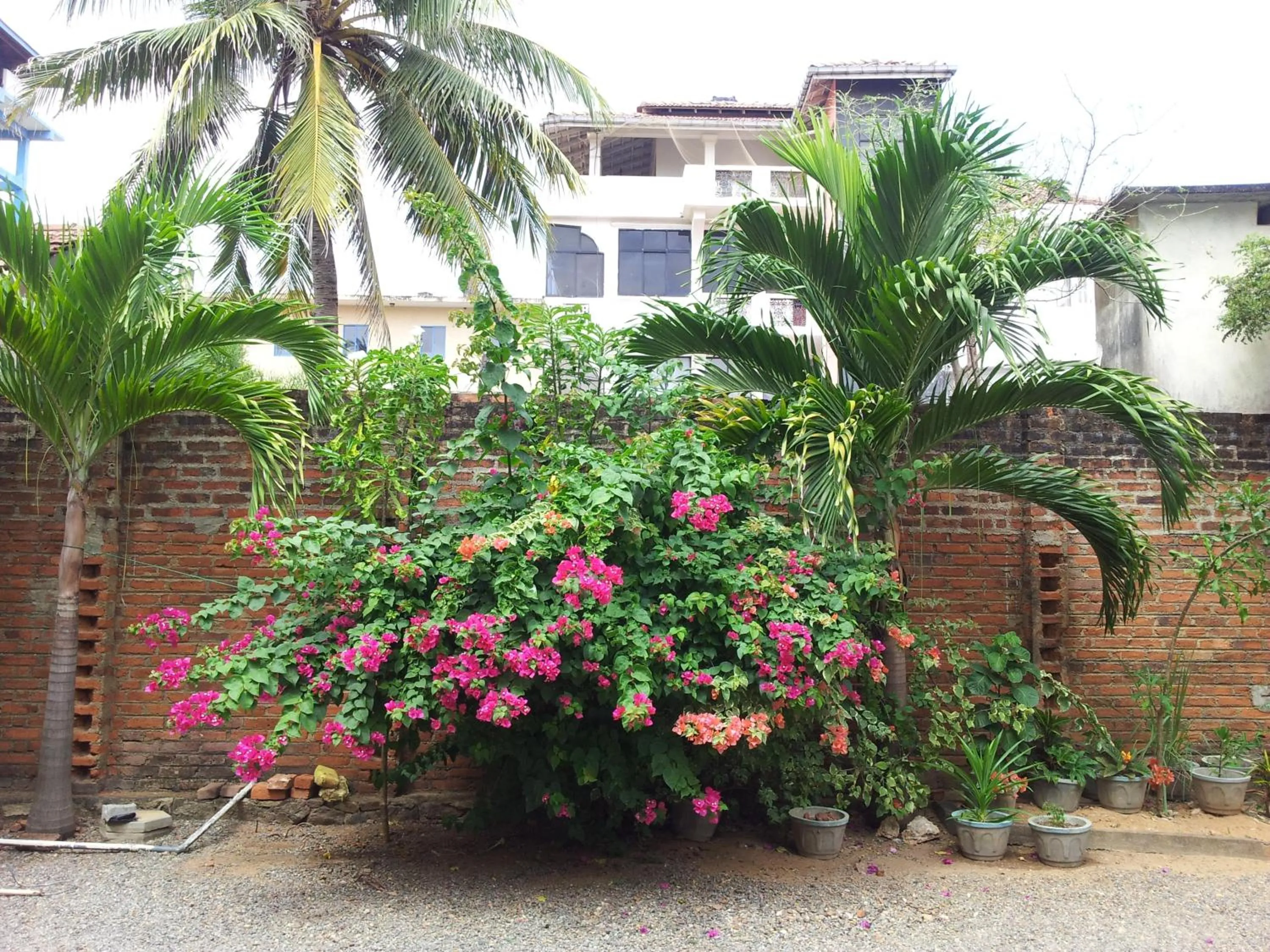Garden in Janishi Residencies