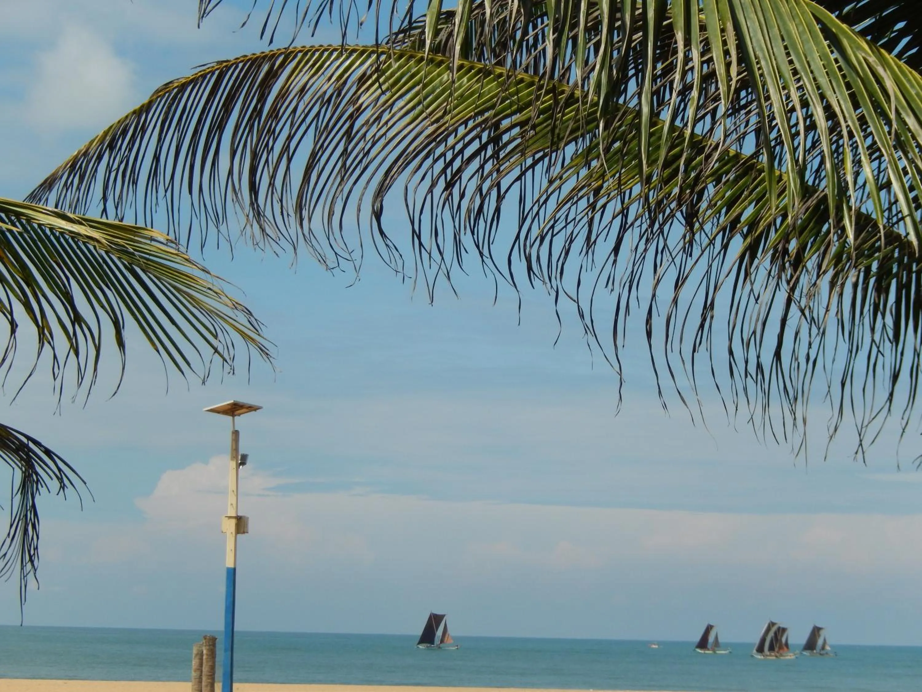 Beach in Janishi Residencies