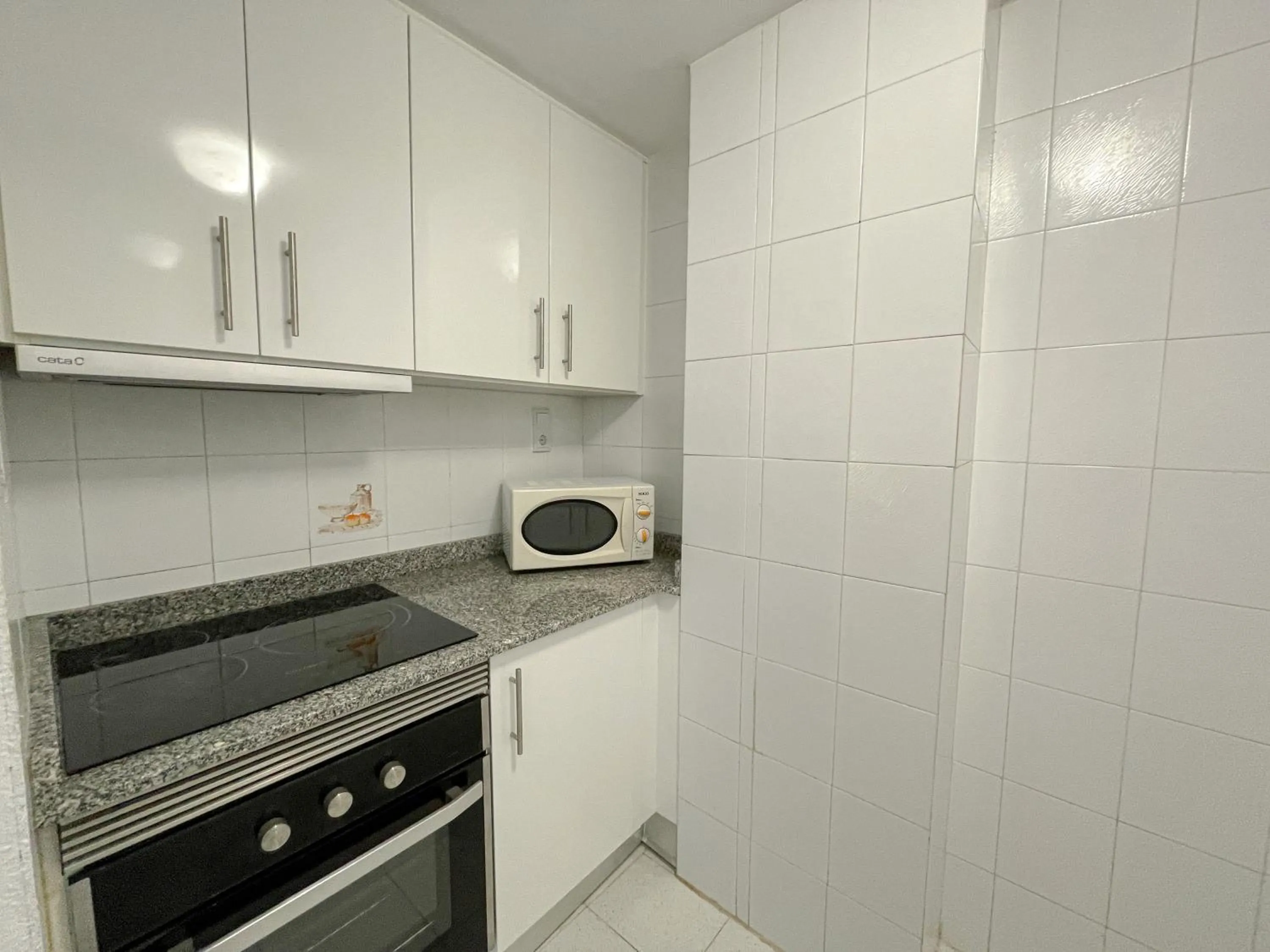 Kitchen or kitchenette in Apartamentos 3000 Marina D'Or