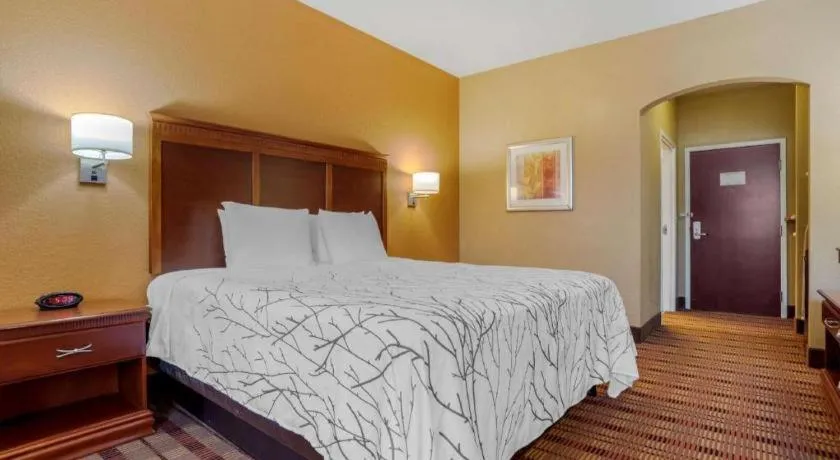 Bed in Best Western Plaquemine Inn