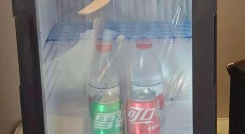 Ibis Shanghai Expo Dongming Road Metro Station