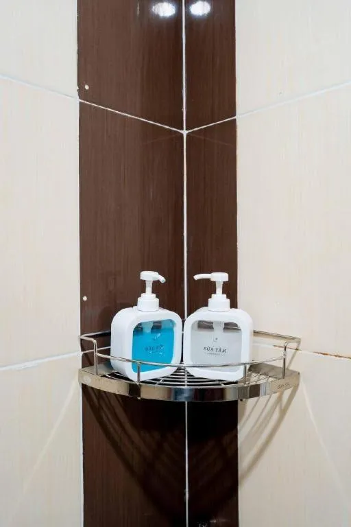 Tuan Viet Hotel Dinh Tien Hoang