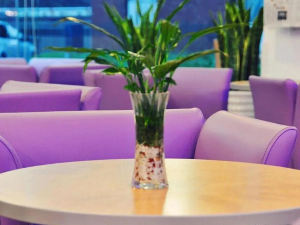 Ibis Chengdu Yongfeng Hotel