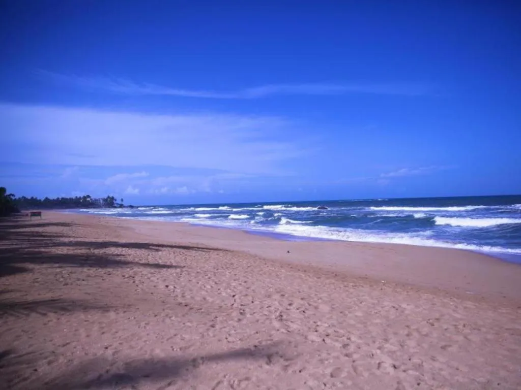 Whispering Palms Hotel