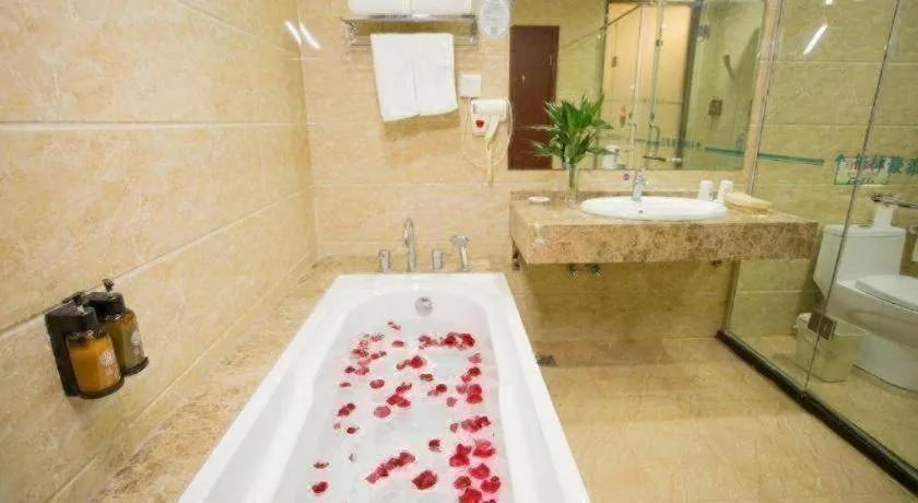 GreenTree Inn Anhui Fuyang Funan East Huaihe Road Express Hotel