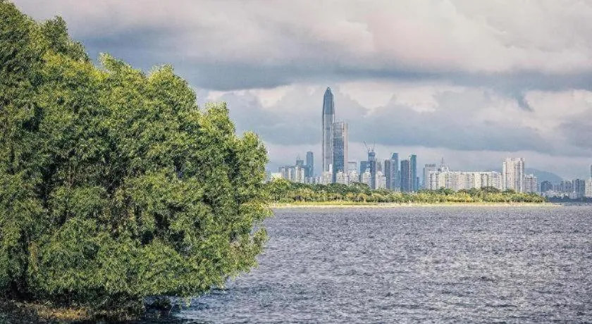 7 Days Inn Shenzhen Shawei Metro Station