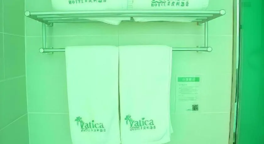 Vatica Tianjin Jinghai Bus Station Home World Plaza Hotel