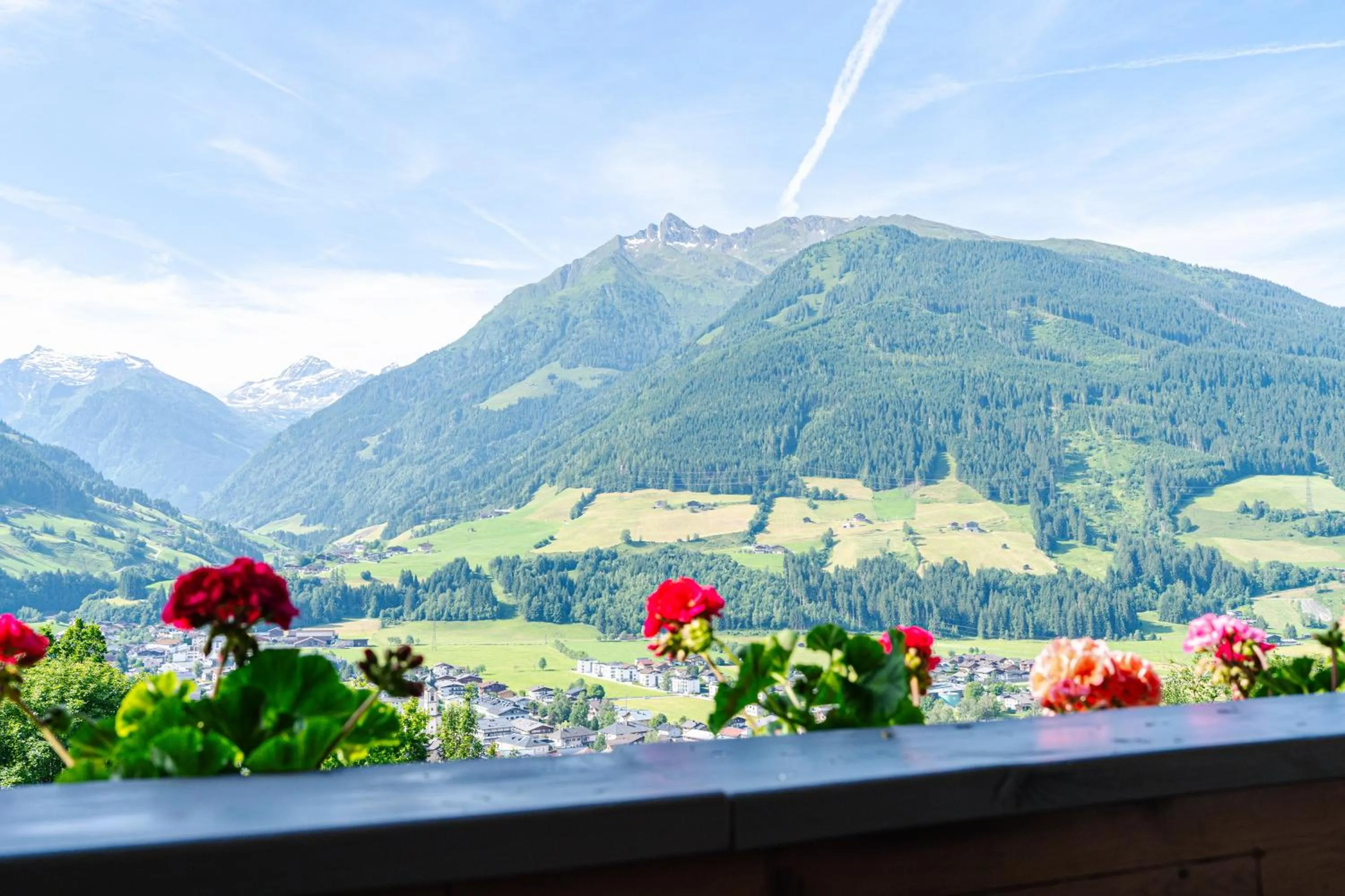 View (from property/room) in Pension Schlossberg