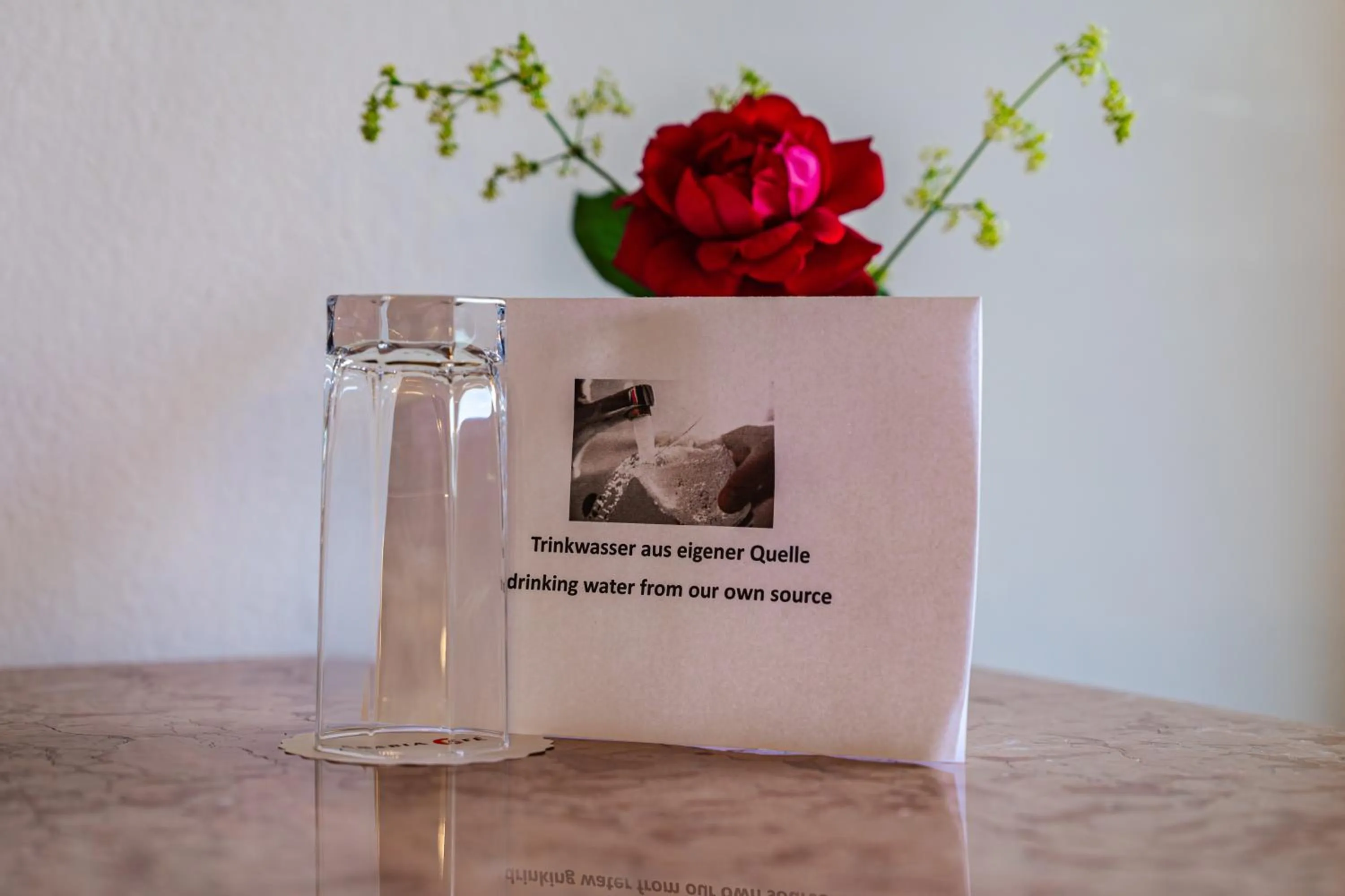 room service in Pension Schlossberg