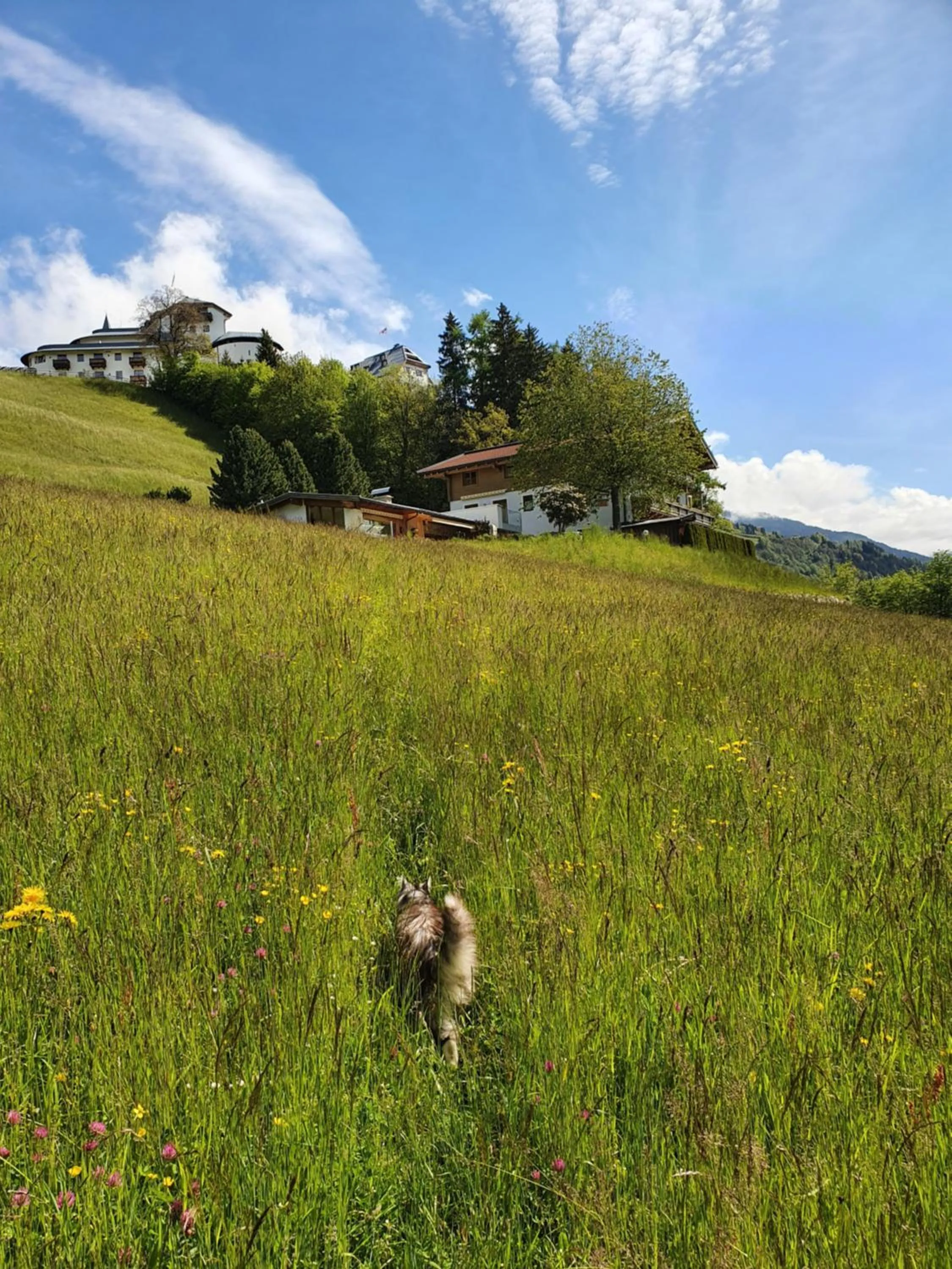 Property building in Pension Schlossberg