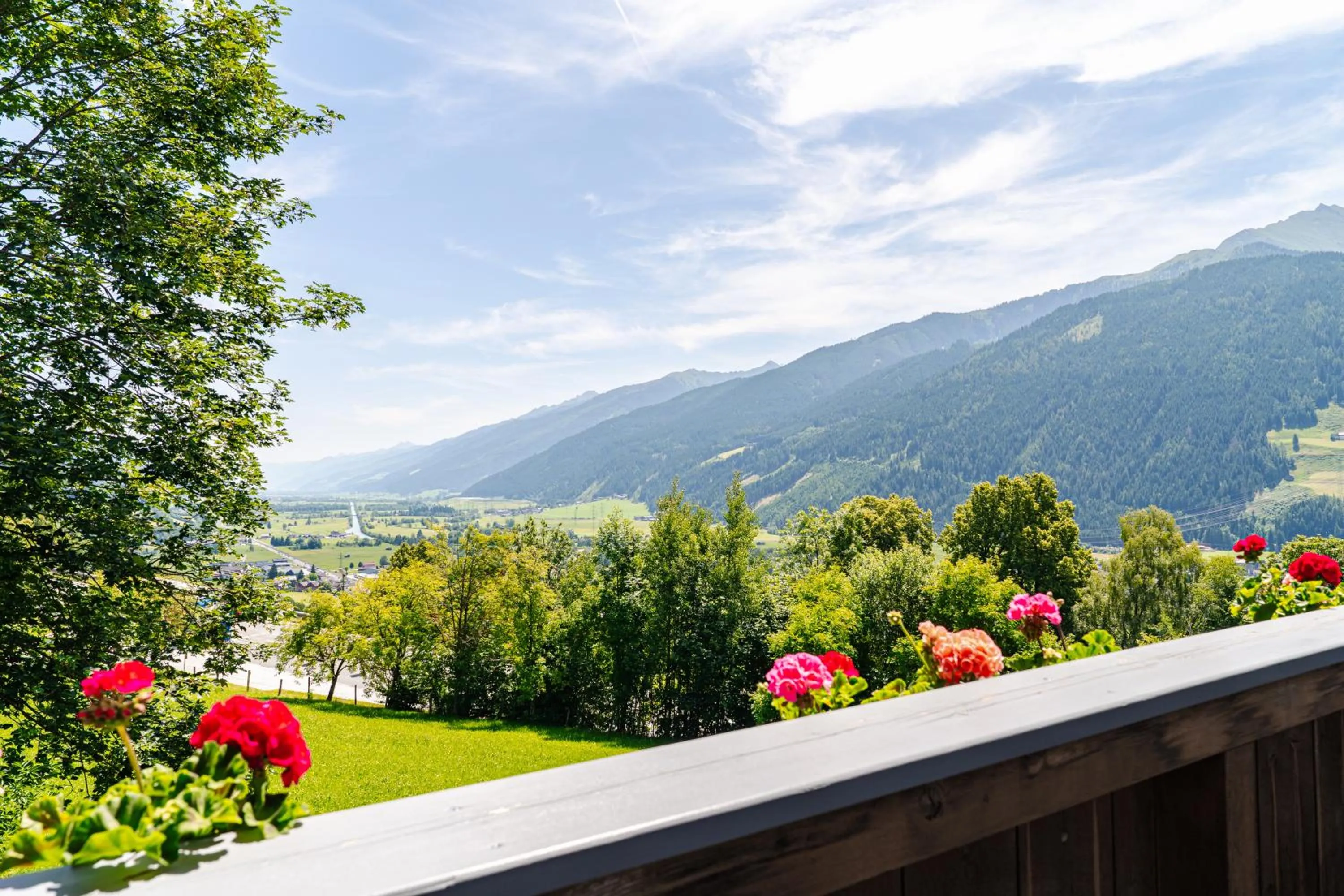 View (from property/room) in Pension Schlossberg