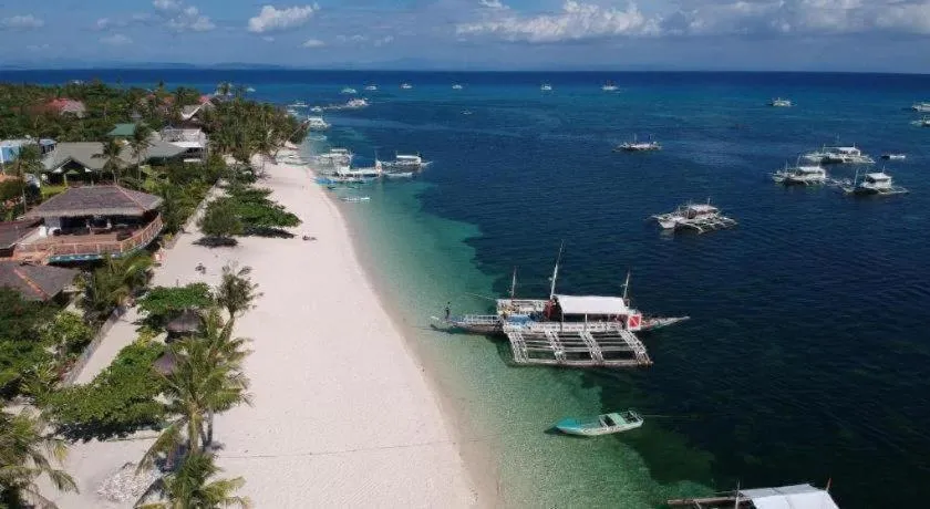 Zhang Resort and Dive Center OPC