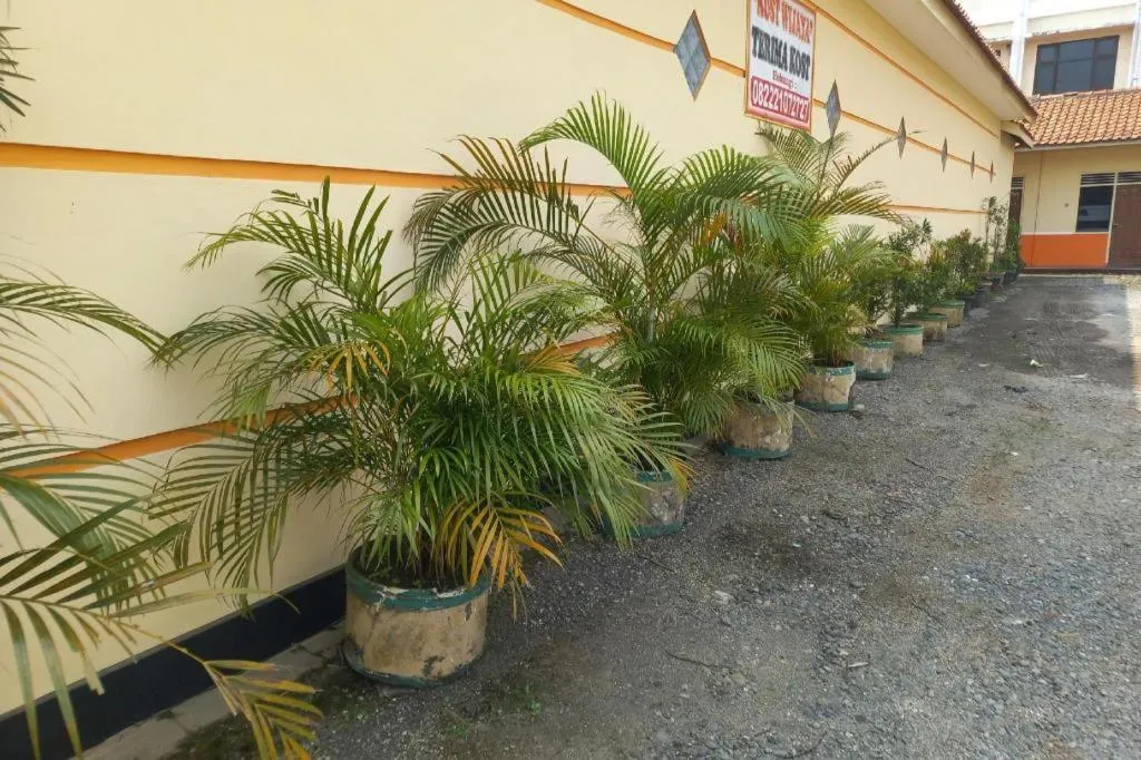 Hotel O Guest House Wijaya Syariah Near alun alun kota purwokerto