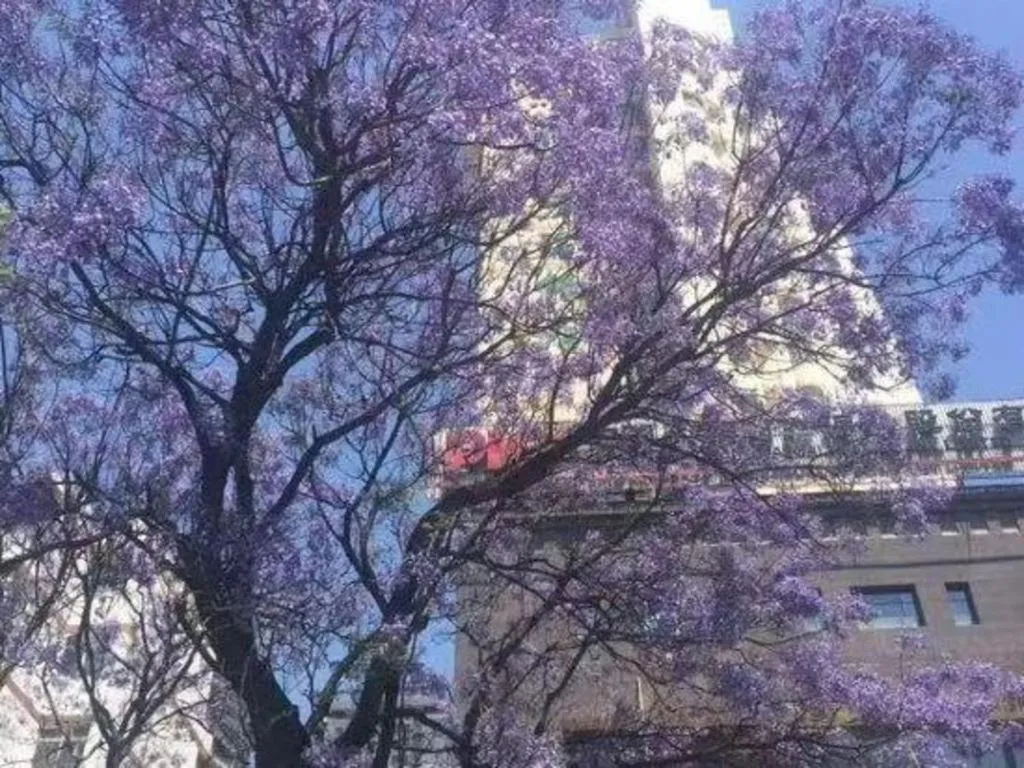 Kunming Tailong Hongrui Hotel