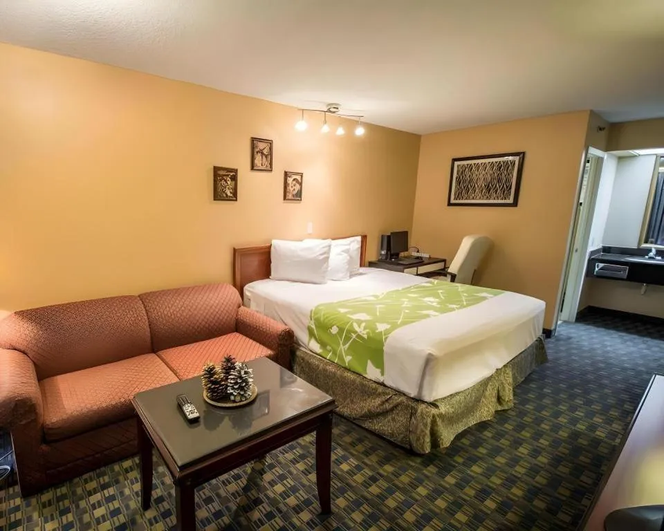 Bed in Quality Inn Kissimmee West - Lake Buena Vista South