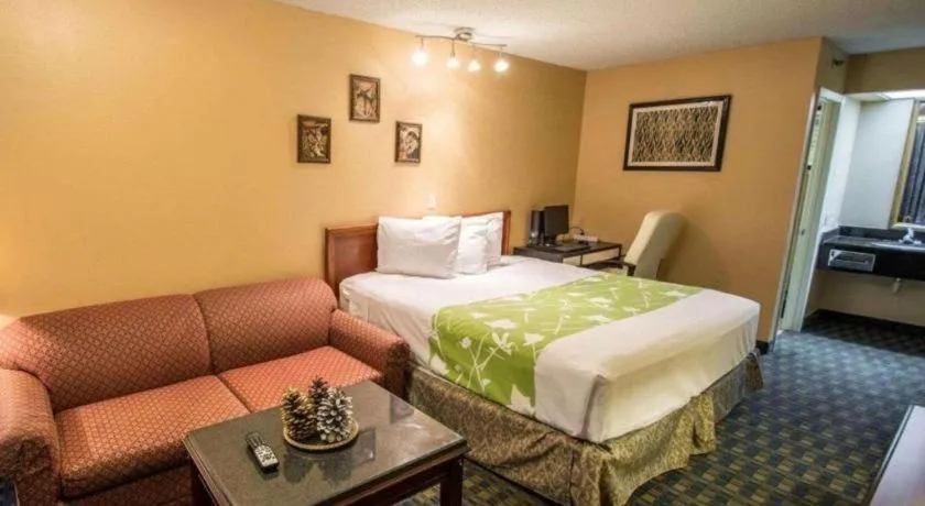 Bed in Quality Inn Kissimmee West - Lake Buena Vista South