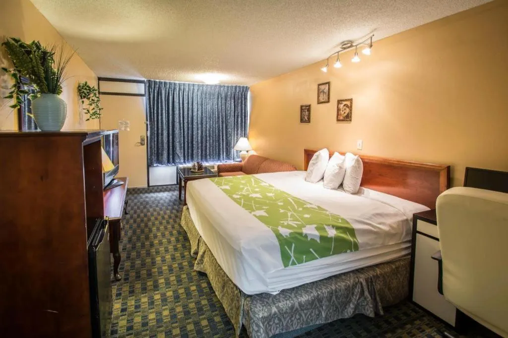 Bed in Quality Inn Kissimmee West - Lake Buena Vista South