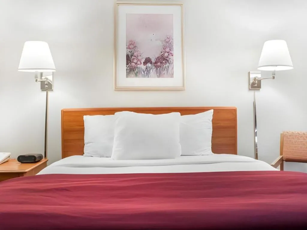 Bed in Econo Lodge Ithaca Airport