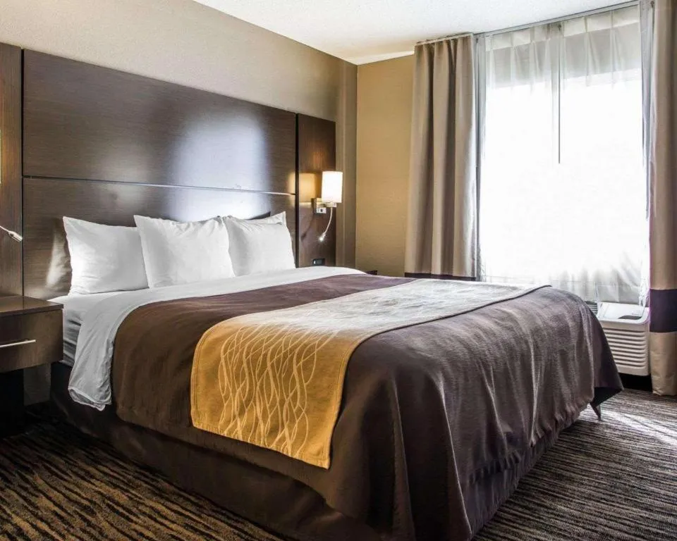 Bed in Quality Inn Dayton North - Vandalia