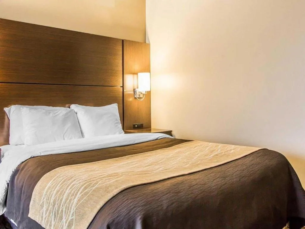 Bed in Quality Inn Dayton North - Vandalia